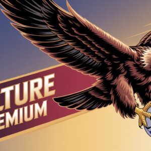 اشتراك فولتشر سنة